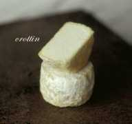 Crottin
