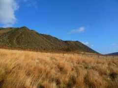 Crowden