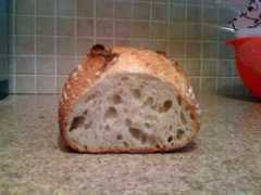 thefreshloaf.com Crumb