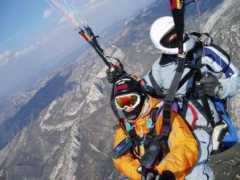 Cruvelier