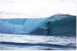 aquabumps.com Cruzin