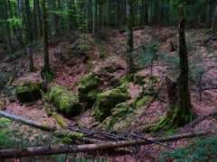 panoramio.com Crveni