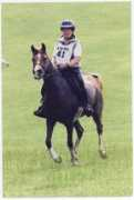 lapwortharabians.com Crysti