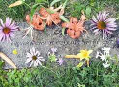 deadpoes.org Csan