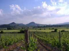 visit-hungary.com Csanadi