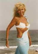 castingdb.eu Csongradi