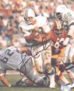 Csonka
