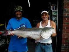 moesbaitandtackle.com Cstro