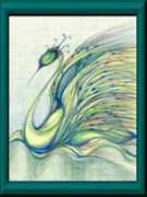 Cswan