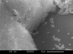 microscopist.ru Cthutq