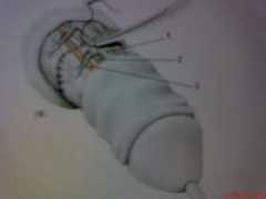 Cuaquy