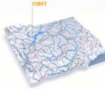 Cubet