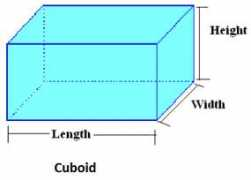Cuboid