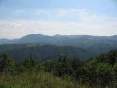 beogradac.com Cubrilo