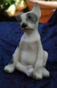 Cucciolotto