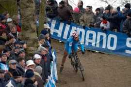 mtbs.cz Cucinello