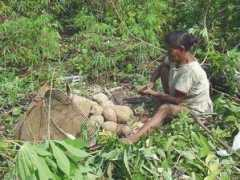 pib.socioambiental.org Cucura