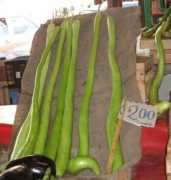 Cucuzza
