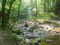 panoramio.com Cuha