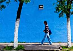 dpnow.com Cuidalo