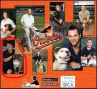 ohmidog.com Cuji