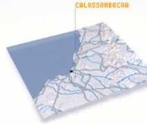 Culciu