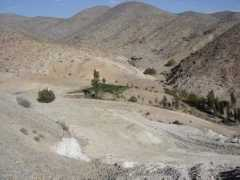 panoramio.com Cultivo