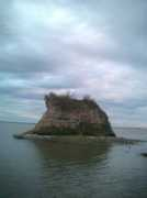 Cuner