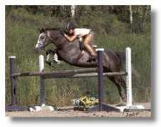 signaturewestfarms.com Cuppi