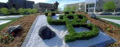 Curca