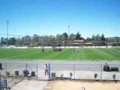 Curico