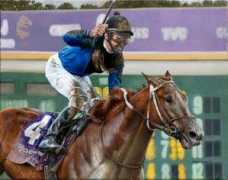 robertclark.us Curlin