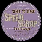 thescrappykat.com Curten