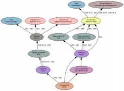 wiki-de.genealogy.net Cusel