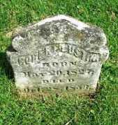 rootsweb.ancestry.com Custin