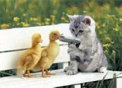 thecuteproject.com Cutelover