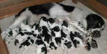 thecuteproject.com Cutelover