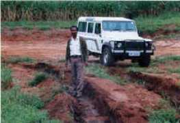 landyonline.co.za Cwaka