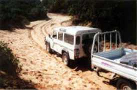 landyonline.co.za Cwaka