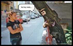 chmurak.pl Cwane