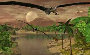 maelduin.ch Cybal