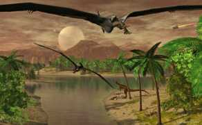 maelduin.ch Cybal