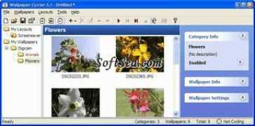 softsea.com Cycler