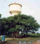 Cyfan