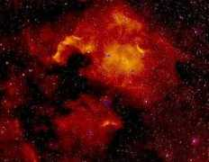Cyg