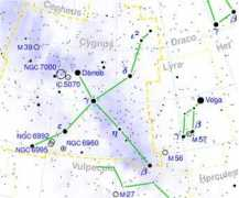 Cygnus