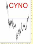 Cyno