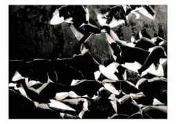 aniacyrson.com Cyrson