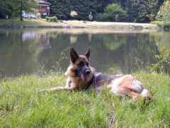 Cytha