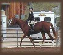 sherrytemplinstables.com Czia